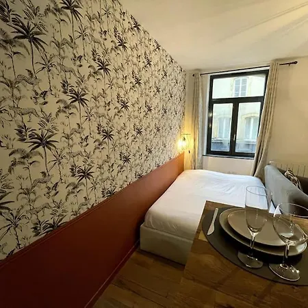 Magnifique Coeur Historique * Metz