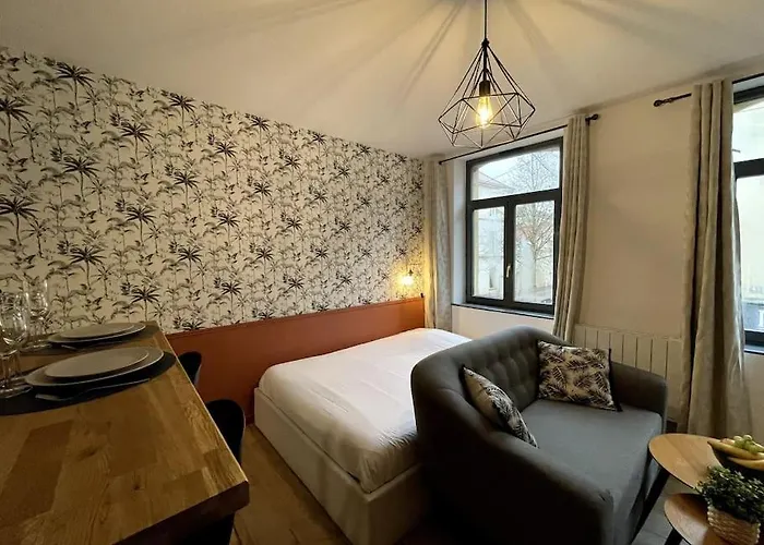 Magnifique Coeur Historique Apartmán *